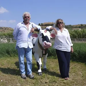https://tenuta-bartoli-maison-de-charme.sicilyhotelsitaly.net